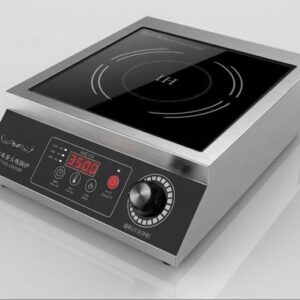 PORTABLE INDUCTION COOKER